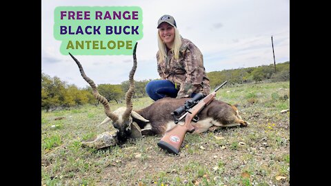 Texas Blackbuck and Axis with Nomad Hunts