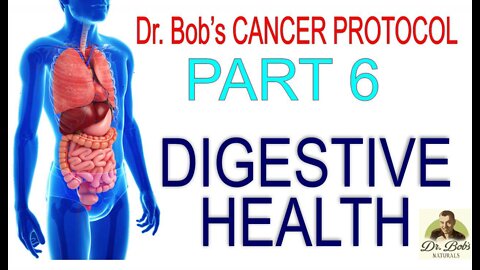 Cancer Protocol Part 6 - Probiotic/Prebiotics & Digestive Enzymes