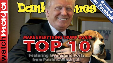 TOP 10 MEMES: Make Everything Trump Again
