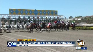 Horse safety key ahead of opening day