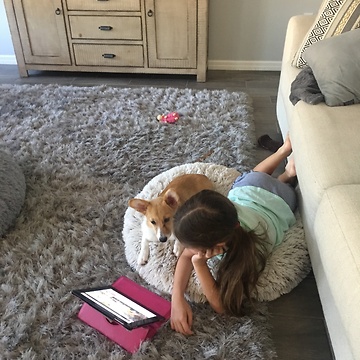 Girl and her corgi watching dog videos and snuggling