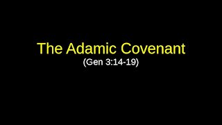 The Adamic Covenant