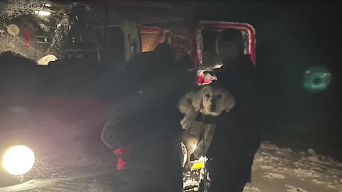 Elizabeth Fire Rescue saves puppy inside stranded car during snowstorm