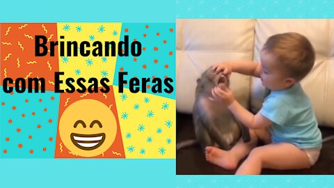 TRY NOT TO LAUGH, FUNNY VIDEOS OF BABIES AND THEIR ANIMALS TOO MANY / Funny Moments Compilation