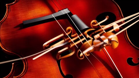 "Unleashing the Magic: Live Violinists Enchanting