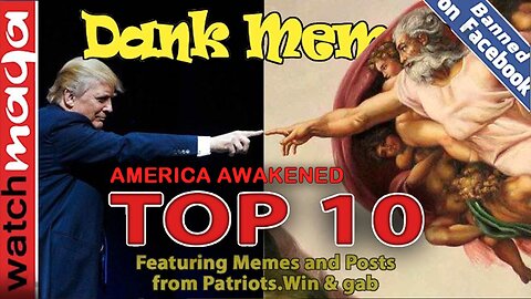 America Awakened: TOP 10 MEMES