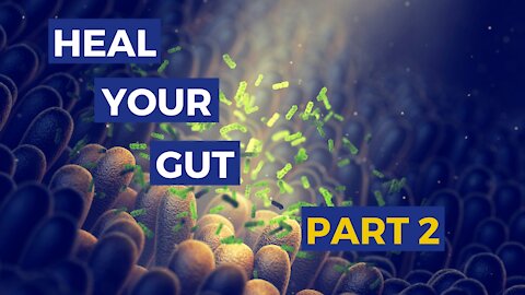 How to restore a Healthy gut lining? Part 2