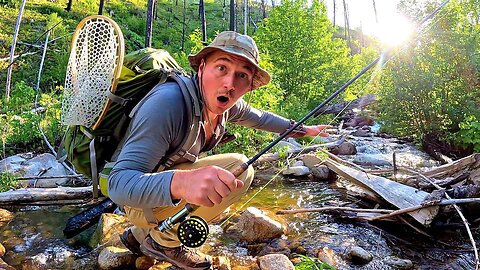Trout Fishing a TINY Mountain River!!! (RATTLESNAKE ENCOUNTER)