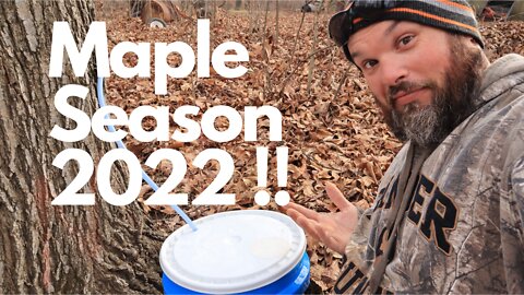 Maple Syrup Season has Started!!!