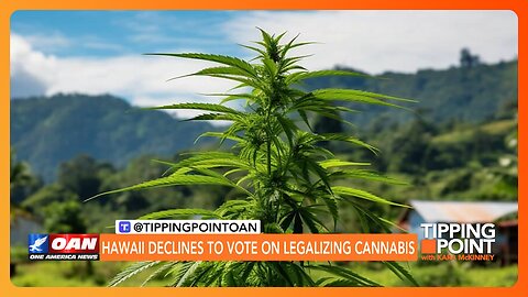 Hawaii Declines to Vote on Legalizing Cannabis | TIPPING POINT 🟧