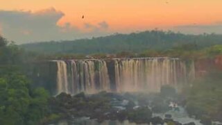 Conhece as maravilhosas Cataratas do Iguaçu?