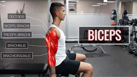 The Best Science-Based Bicep Workout - ARMS (Part 1_2)