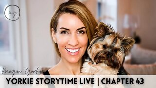 Yorkie Storytime Live ! Chapter 43