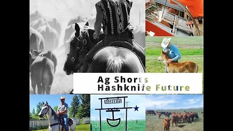 Hashknife Ranch Plans - Ag Shorts