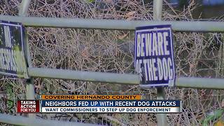 Several vicious dog attacks prompt Hernando County to look into better enforcement