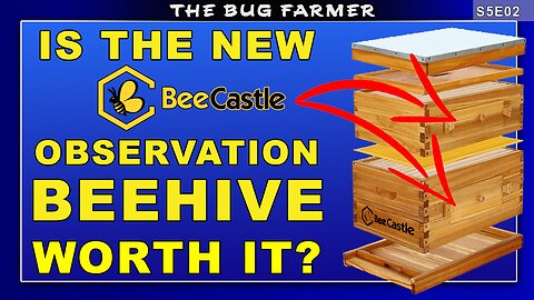 New Bee Castle Observation Hive. | Is it any good? #beekeeping #bees #beecastle #sidehustle #honey
