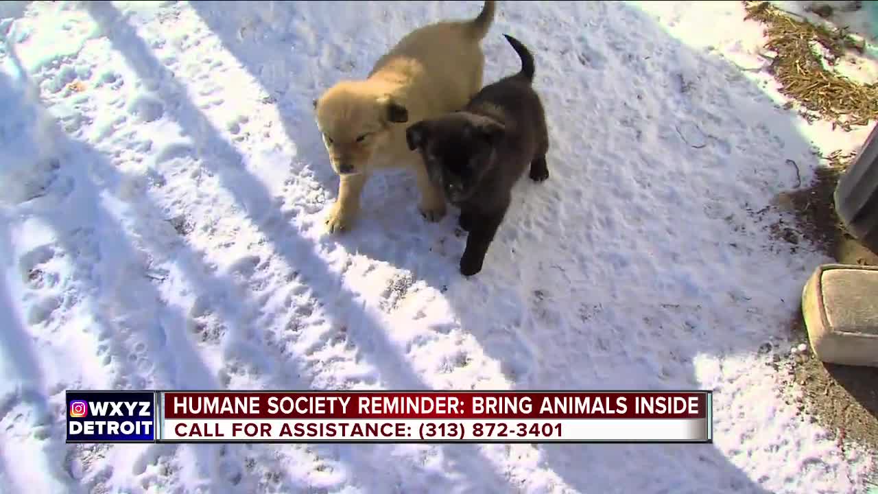Don't forget to bring the animals inside, says MHS