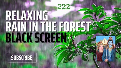 Relaxing Rain in the Forest - Black Screen - Sleep Sound Loop 222