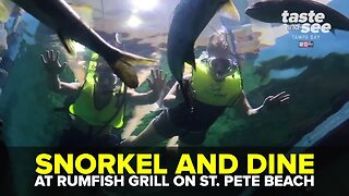 Snorkel and dine at RumFish Grill on St. Pete Beach | Taste and See Tampa Bay