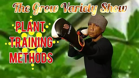 Plant Training Methods (The Grow Variety Show EP.233)