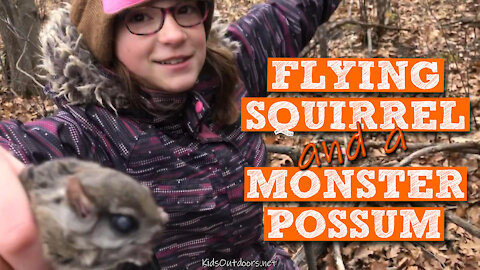 S2:E37 Flying Squirrel in a Duke Dog Proof Trap PLUS the Mammoth of all Mama Possums | Kids Outdoors