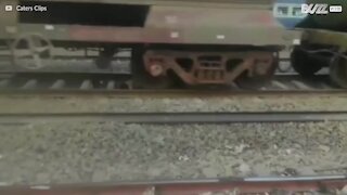 Un train passe sur un homme en Inde