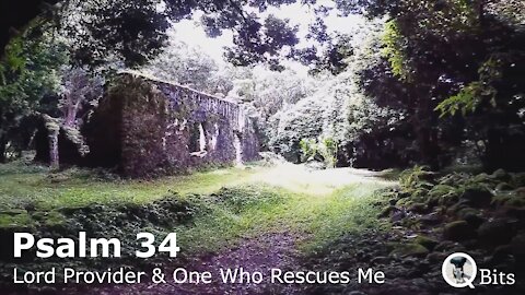 PSALM 034 // THE LORD, A PROVIDER AND THE ONE WHO RESCUES ME