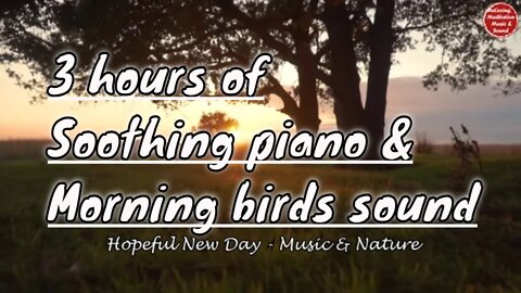 Soothing music with piano and beautiful birdsong for 3 hours, music to relax your mind and body