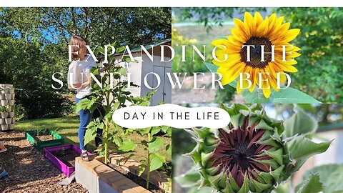 A Day in the Life of Expanding the Sunflower Bed