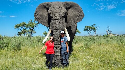 Our Amazing Morning with Two Orphan African Elephants