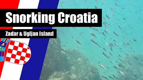 Relaxing Underwater Fish Snorkeling | Zadar & Uglijan Island, Croatia