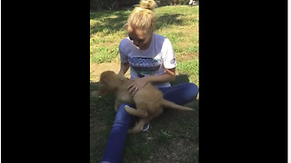 Dad Surprises Unsuspecting Daughter With Goldendoodle Puppy