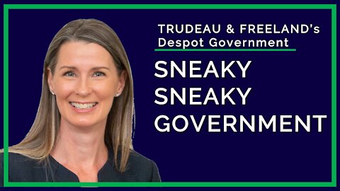 Sneaky Sneaky Government - NADINENOW Frankly Speaking 4K