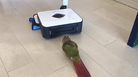 Parrot challenges robot vacuum over territorial dispute
