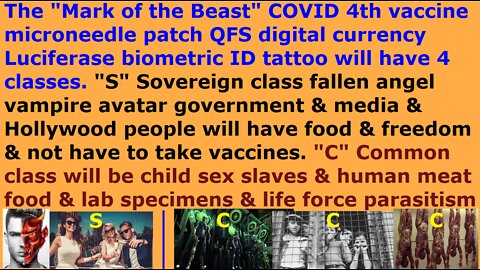 NWO "Mark of Beast" digital currency vaccine: S class = food & freedom & no vaccine. C class = slave