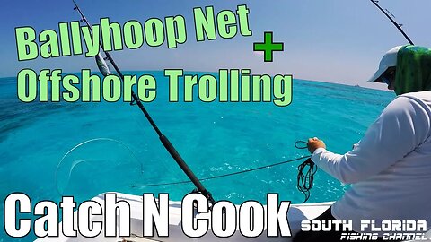 Catch and Cook | Using a BallyHoop Net and Trolling Offshore Key Largo
