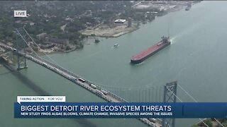 Biggest Detroit River ecosystem threats