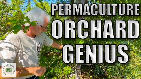 Permaculture Wisdom: Stephan Sobkowiak on Nitrogen Fixers in Orchard Ecosystems