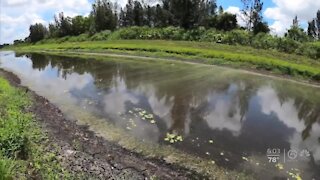 Algae task force to meet in West Palm Beach Wednesday