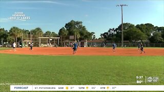 Pasco Co. senior softball league creates competition and friendships