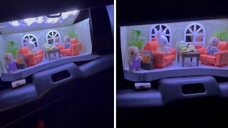 Woman adorably turns her glove compartment into a little wonderland