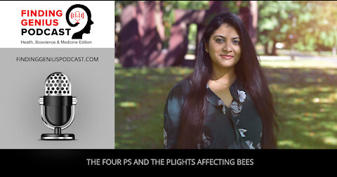 The Four Ps and the Plights Affecting Bees