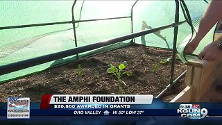 Amphi Foundation funding teacher's classroom ideas
