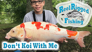 Don't Koi With Me!