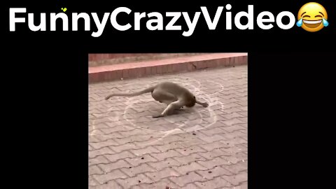 Mr FunnyCrazyVideo😂 Just Incredible Video Funny and Crazy #Like Follow for Follow 🥰