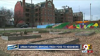 Cincinnati's urban farmers cross-pollinate nutrition, community to grow sustainable neighborhoods