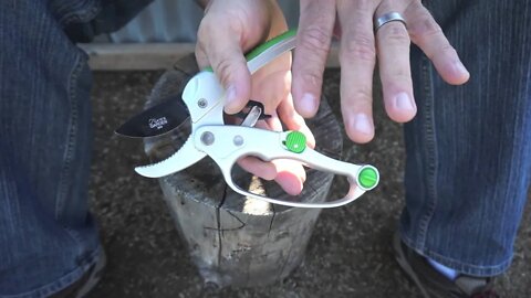 Ratchet pruner review - from Cates Garden