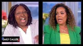 ‘DOMESTIC TERRORISTS’: 'The View' Can’t Stop Trashing Republicans