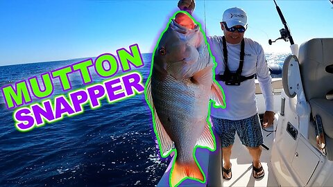 Catching a MUTTON SNAPPER off Key Largo
