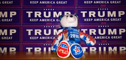 Trump (2016) bear - September 19th, 2020